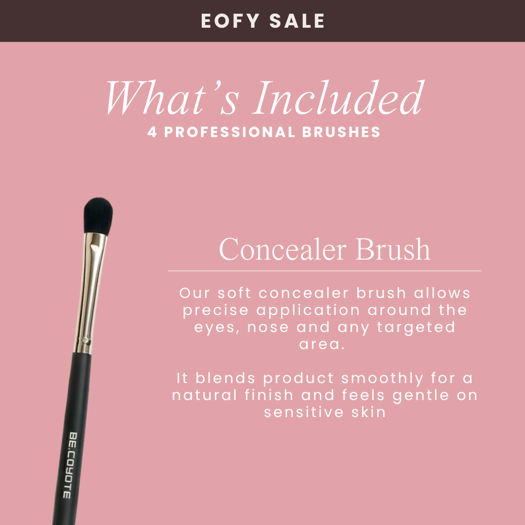 EOFY Special: Professional Makeup Brush Set
