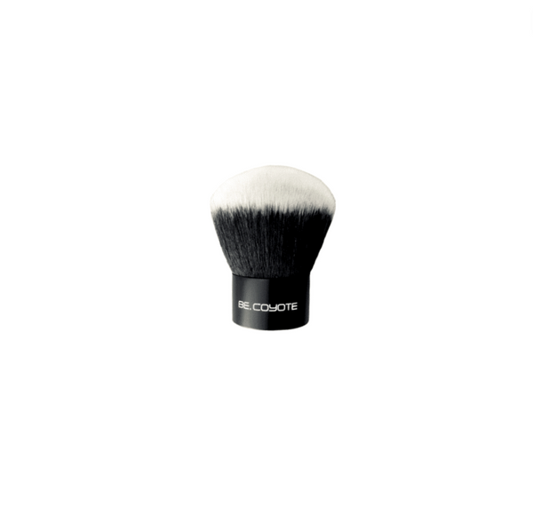 Kabuki Brush